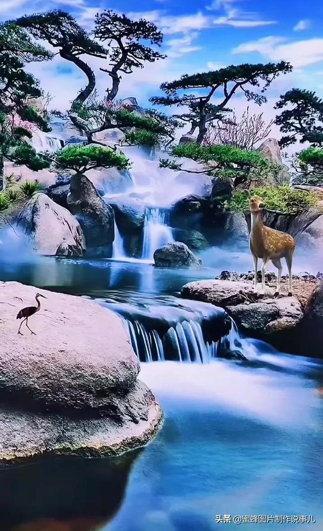 孔雀逃生